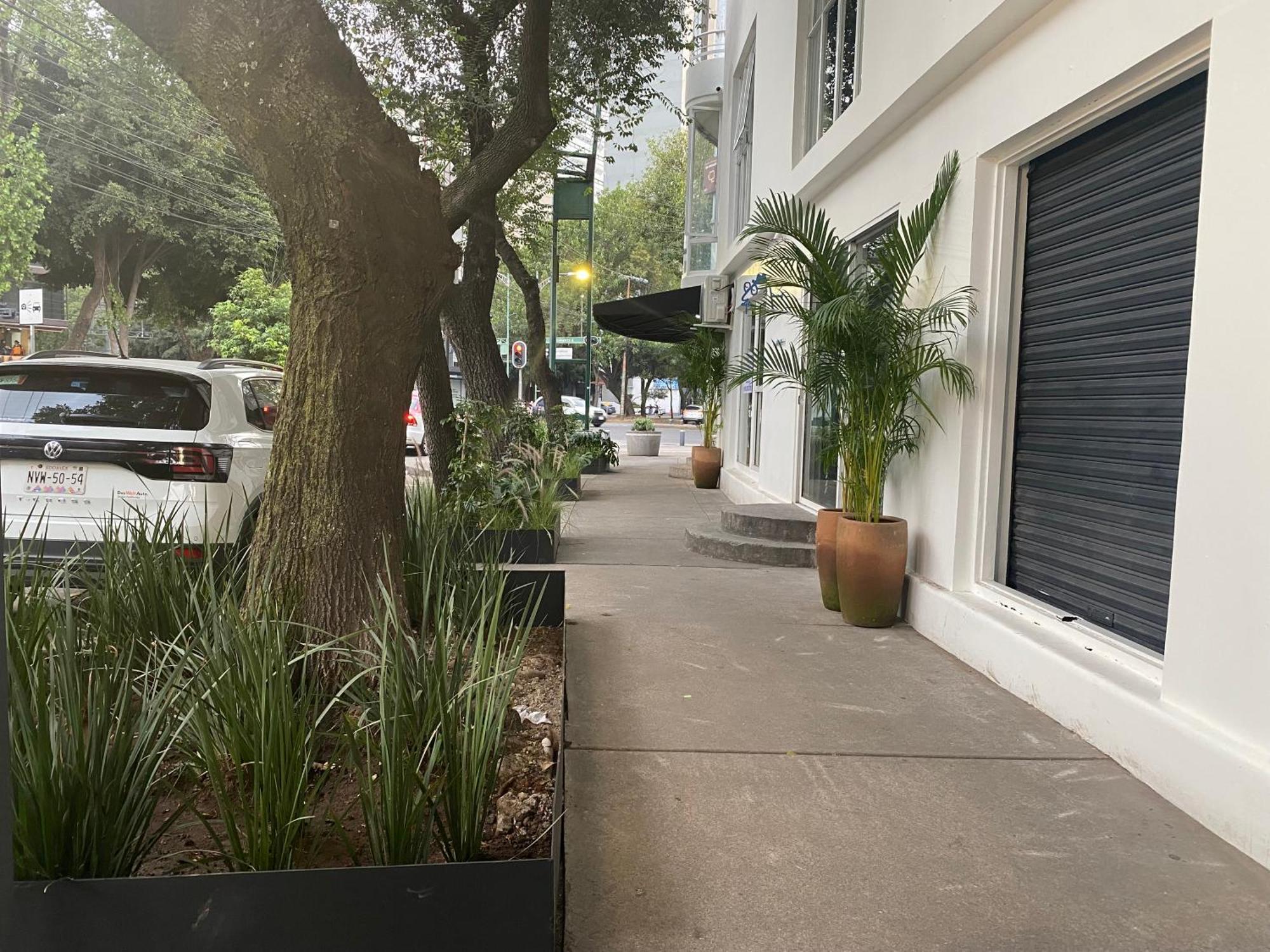 Casa Corp Boutique Suites In Condesa Kota Meksiko Bagian luar foto